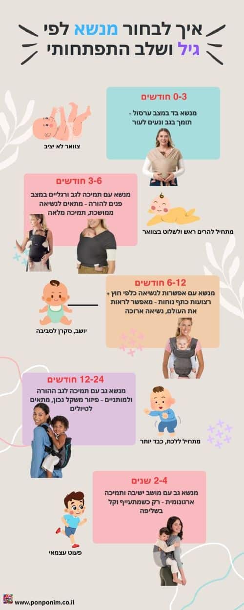 איך בוחרים מנשא לתינוק לפי גיל והתפתחות infgraphic